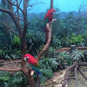 Meet your Posher, Shruti